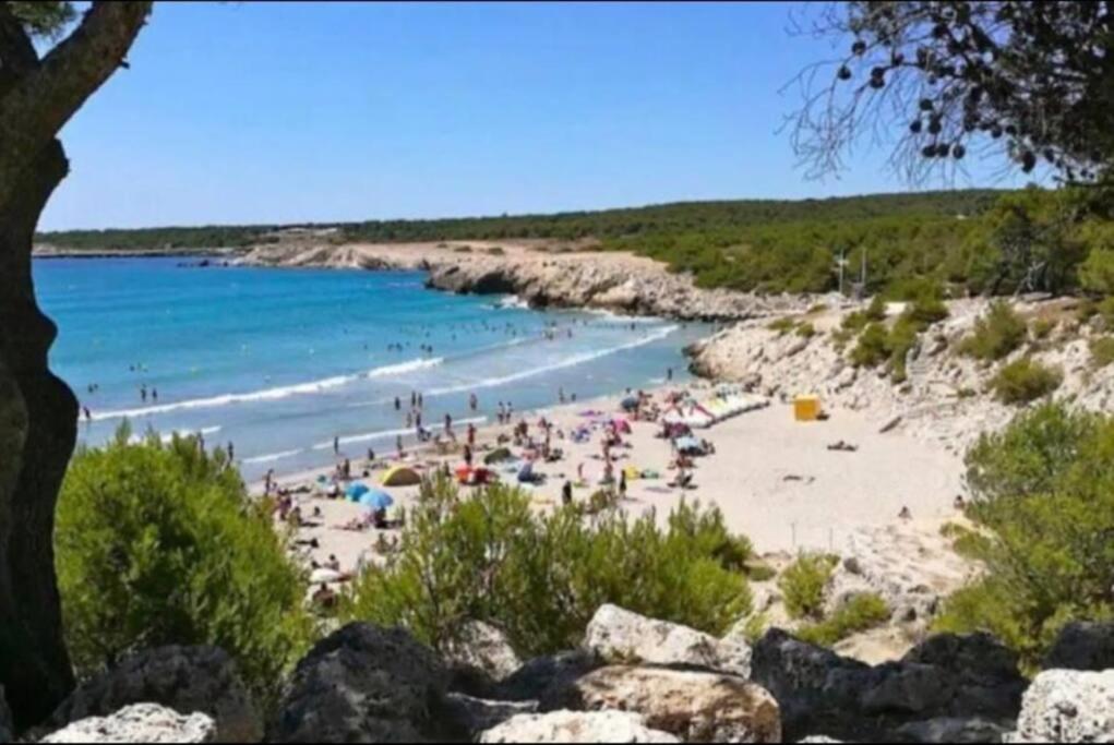 Studio Mer Et Vacances Sausset-les-Pins Eksteriør billede